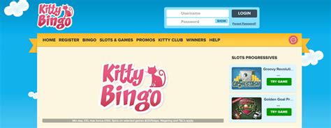 Kitty bingo casino login